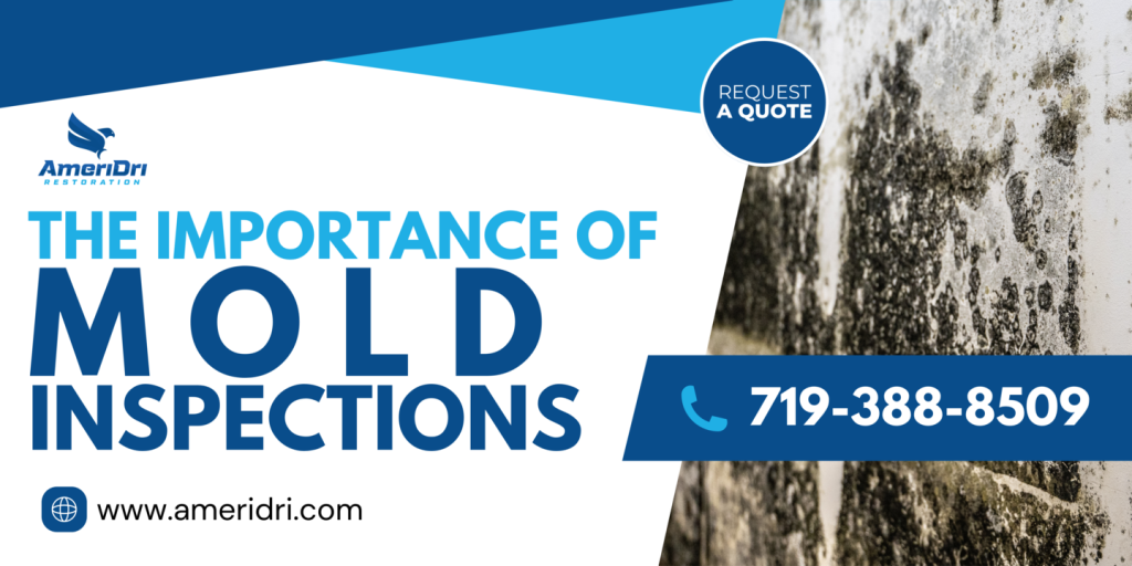 The importance of Mold Inspections