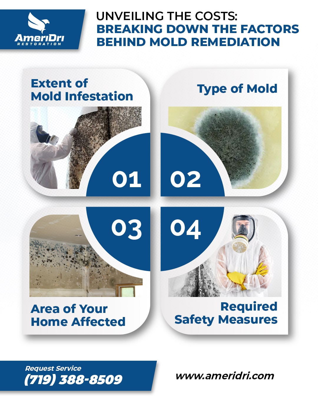 Mold Remediation Cost: Expert Solutions for Your Home | AmeriDri ...
